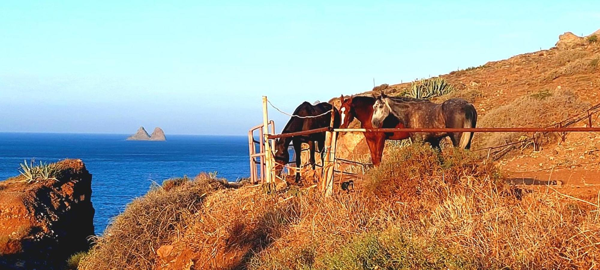 Casa Tucho Paraiso Sea Sound Holiday home